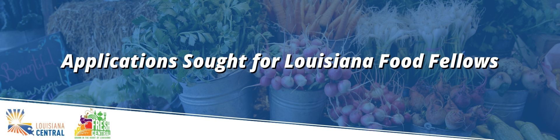 Blue and  White Google Illustrative Mathematics Classroom Header (5)